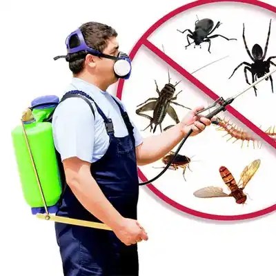 pest control Fletcher
